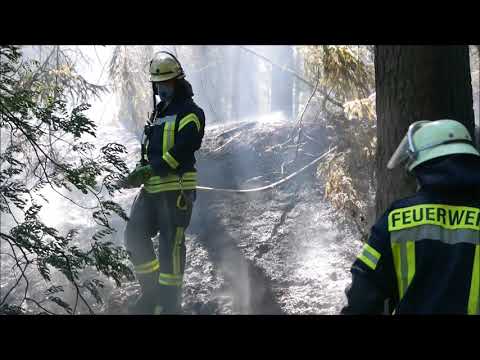 Feuerwehr Celle: Waldbrand 02.07.2018