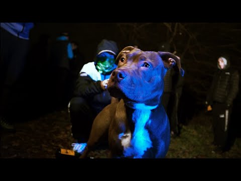 🏴󠁧󠁢󠁳󠁣󠁴󠁿JC X SD - Life We Live (Official Music Video)