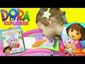 Dora The Explorer Hospital BABY BOOTS CHECK UP Dr Sandra McStuffins Ava Backpack Surprise Toys