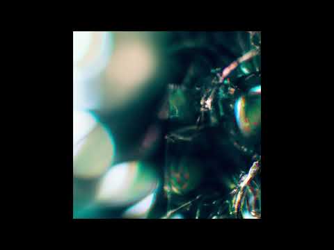 Jannik Aßfalg – Narcissistic Nirvana