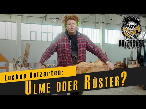 Lockes Holzarten: Ulme oder Rüster? / Holzkunst Scholz offiziell