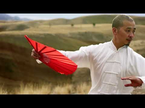 Chen Style Tai Chi Fan