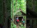 Tribal Unity: Building a Home in the Heart of the Forest 🌿🏡