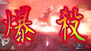 砕竜の...撃滅拳!!! 臨界ブラキ 初見ソロ 【モンスターハンターワールドアイスボーン】
