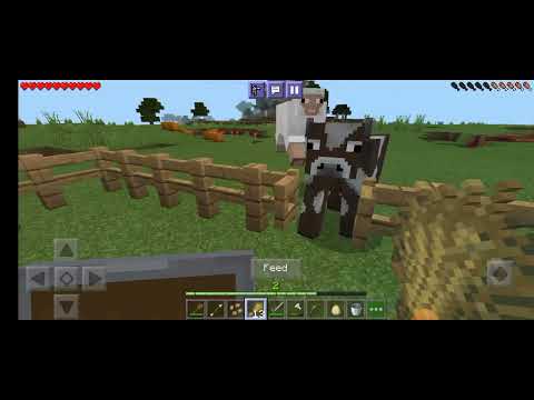 ARK.Gamerz - MineCraft Survival Series | Building Sheep and Cows Farm