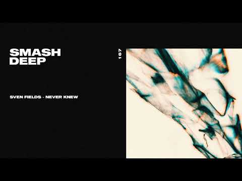 Sven Fields ft. Jan Liva - Never Knew