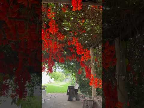 Villa Rica Park Niquelândia Goiás