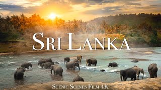 Sri Lanka In 4K - Land Of Stunning Natural Wonders