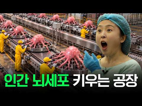 이게 AI 대안이라고? 전기 흡입하는 데이터센터, 그 한계를 뚫을 2400만 뇌세포