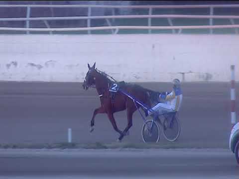 Trotto 15/01/2019 - 3ª corsa