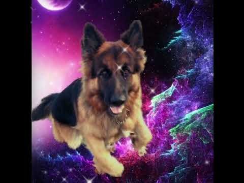 Im Tal der schwarzen Rosen - Kastelruther Spatzen/1998