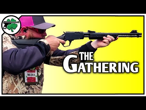 Rossi Gallery .22lr Range Review