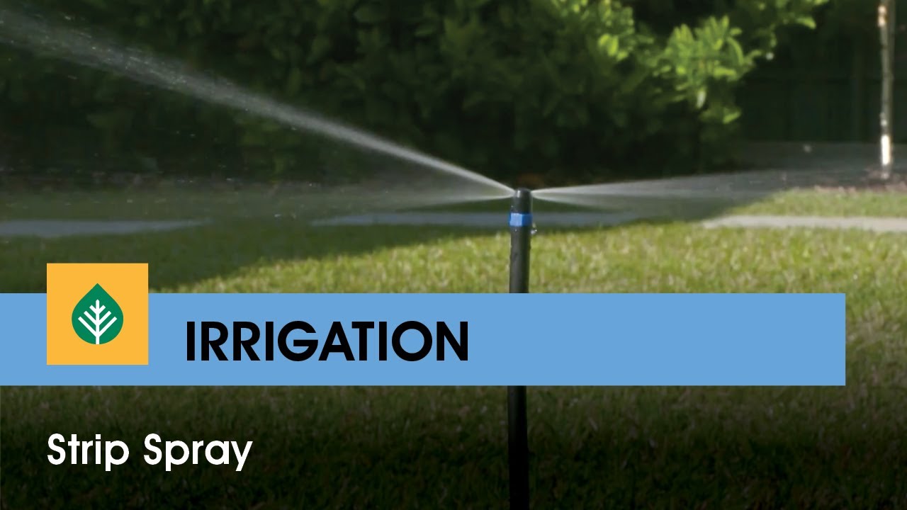 Strip Spray