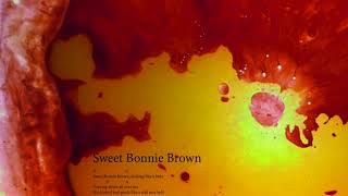 Sweet Bonnie Brown #58 100 Covers Lou Reed &amp; Velvet Underground