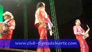 Si mides el tamaño -Los Tigres del Norte