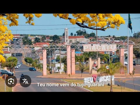 Piacatu São Paulo #451