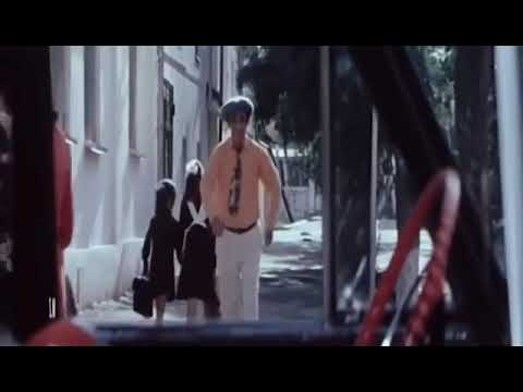 Mirferid Zireli Gunun Gun Ortasinda Yolun ortasinda