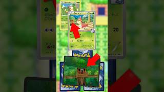 I found every Pokemon card in Fortree City