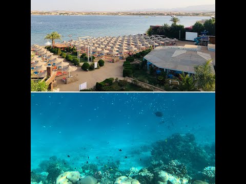 PRIMA LIFE MAKADI 2019 - HOTEL + SNORKELING ON THE BEACH