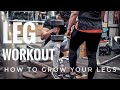 THE MOST EFFECTIVE LEGS WORKOUT for MASS & SHAPE | Beginner to Advanced