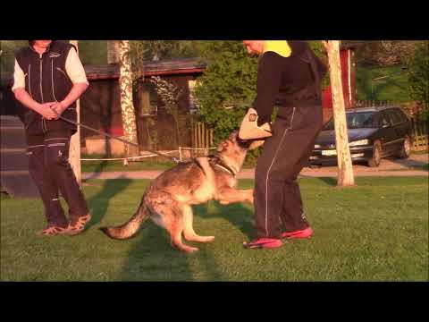 Trixi z Jukasu - protection - 7,5 months