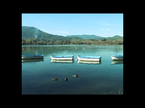 Roko Banana- Som com som