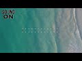 Indie Alternative Surf Rock Type Beat Full Album
