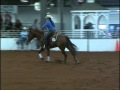 WIMPYS BAMBINO AND LINDSAY MOYES AT THE 2013 YRHA NP DERBY