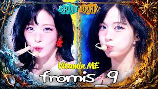 [📺Split Bank] fromis_9 (프로미스나인) - Vitamin ME | KBS WORLD TV
