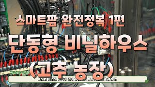 스마트팜 완전정복1편. 단동형 비닐하우스. 시설고추. 매출부터 성과까지 궁금한 이야기들..