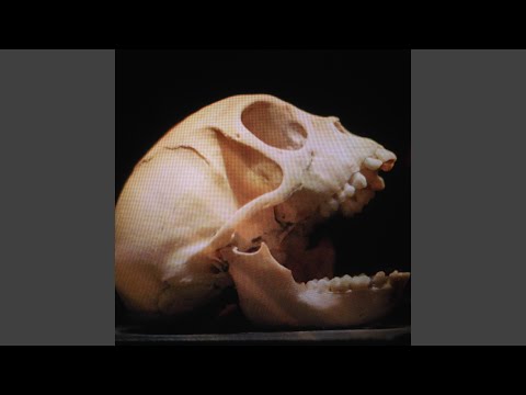 Autograf (Cu Samurai)