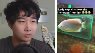 how to punish your pet fish | Fish Tank Review 223