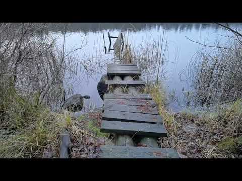 EN LITEN FILM om en gammal BRYGGA i SKÄRSJÖN - Ronneby - 2022-12-02 - BLEKINGE