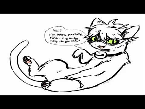 Miraculous Ladybug Comics Chat Noir "Where Cat Gets Turned Into An Actual Cat By"