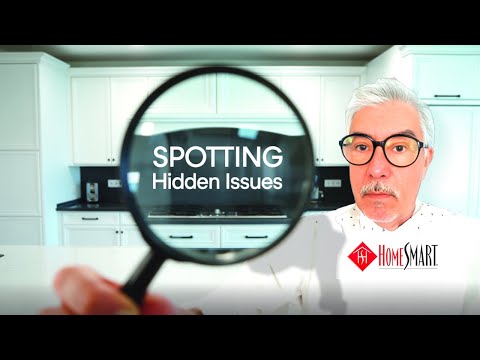 Stunning Fully Rehabbed Home in Arleta - Is It Worth It?