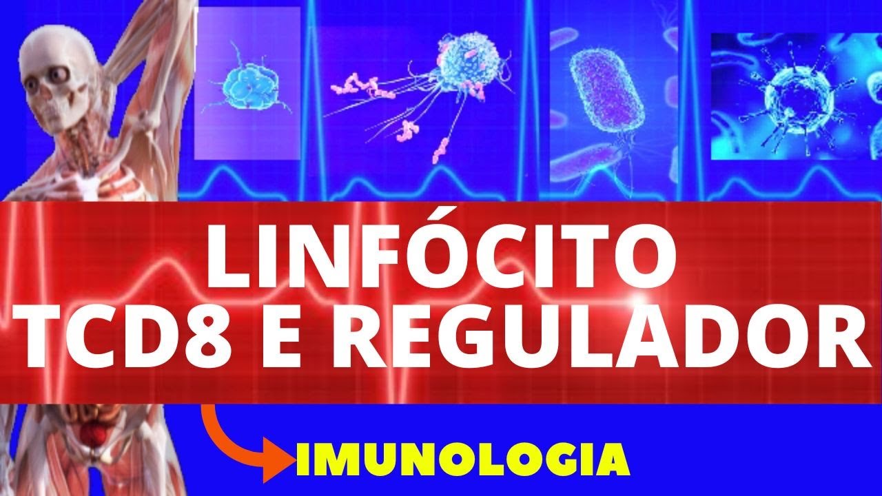 LINFÓCITO TCD8 E REGULADOR (ENSINO SUPERIOR) - IMUNOLOGIA - SISTEMA IMUNOLÓGICO