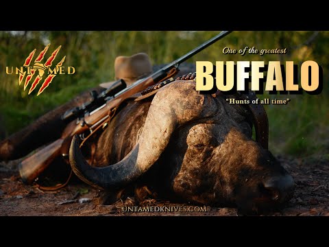 One of the GREATEST Buffalo hunts of all time 'The ONE, in a million acres' - Dalton & York Safaris
