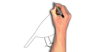 "How to Draw a Cardinal Bird: Step-by-Step Guide"