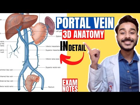 portal vein anatomy 3d | tributaries of portal vein anatomy | anatomy of portal vein branches