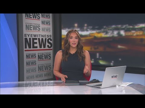 Blind woman fighting for change after being attacked by loose dogs