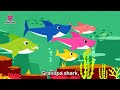 Video 'Baby shark'