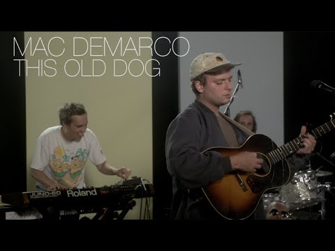 Mac DeMarco - “This Old Dog” | Pitchfork Live