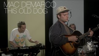 Mac DeMarco - “This Old Dog” | Pitchfork Live
