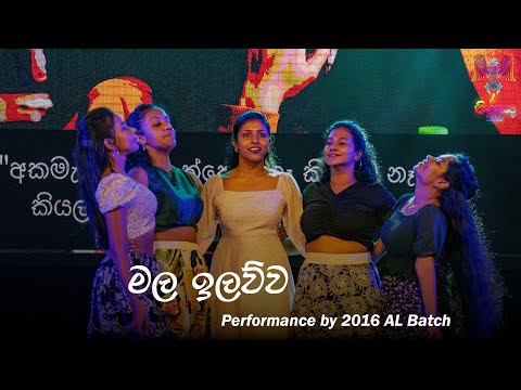 මල ඉලව්ව | Performance by 2016 AL Batch | Ninnada 2023
