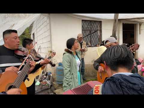 Imatan Pasa Paloma🎶🎻 💃🏻