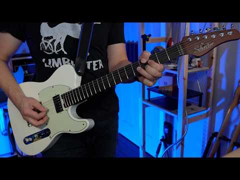 SCHECTER PT Nick Johnston Signature Atomic Ink / Telecaster Type / IW22051176 image 14