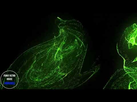 Armanidj - Funky House (Retro Feeling)