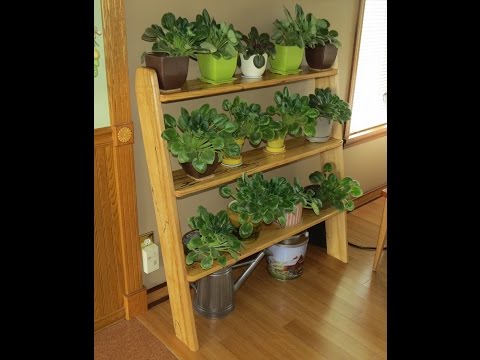 download lagu mp3 mp4 African Violet Plant Stands, download lagu African Violet Plant Stands gratis, unduh video klip African Violet Plant Stands