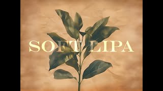 [音樂] 蛋堡-饒我流