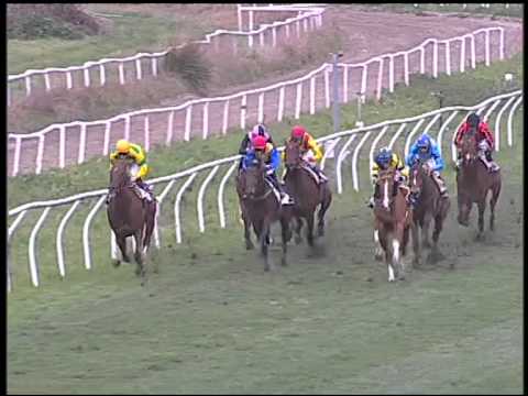 Galoppo 25/01/2015 - 3° corsa